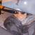 Orange Tabby Cat 4 thumbnail