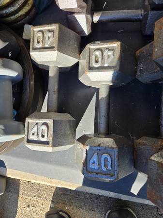 40 lb hex dumbbells 1