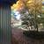 3 bedroom, In Farm House beautiful land 19 thumbnail