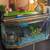 Complete Aquarium Setup - Includes Turtle, Canister Filter, Food & All 1 thumbnail