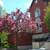 Townhome available to share 1 thumbnail