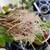 Heirloom Fruit, Vegetables and Herb Starts. Grown naturally!   5 thumbnail