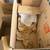 FREE MOVING BOXES and PACKING MATERIAL 3 thumbnail