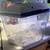 Koller Products 6.5-Gallon Aquarium Kit with Power Filter and LED Ligh 1 thumbnail