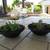 Pair Of Black Garden Pots With Succulents 1 thumbnail