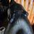 Big Sky Carvers Wood Skunk 19 thumbnail