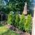 Jr landscaping and tree services 2 thumbnail