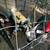 Pygmy goats 3 thumbnail