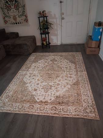 Area rug 1