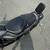 2020 SUZUKI BOULEVARD M109 BOSS   FINANCING AVAILABLE 12 thumbnail