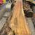 Spaulted  Maple live edge lumber 3 thumbnail