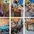 Join Us this weekend for “Vintage Shop-Hop” Six-Generational Homestead 9 thumbnail