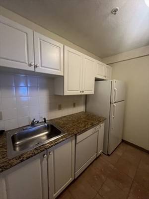 $2,750 / 1br - Somerville 1 Bed/1 Bath Apartment | Highland Ave63863135792129121