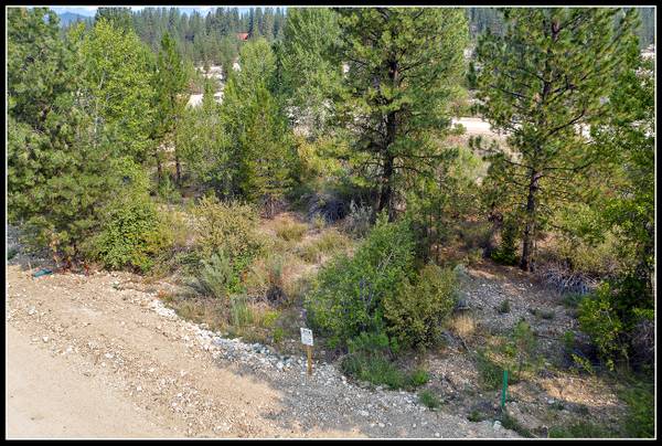 $97,990 / 13500ft2 - Easy Mountain Living - Building Lot 35-40 Min from Boise (Idaho City)64003313136257121