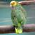 ColOrful WinGs 2 thumbnail
