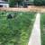 Furnished Queen Room in Friendly House. Fenced Yard. Kayaks Bikes 3 thumbnail