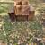 Mobile Oil Gargoyle Box Crates, 2-B, BB, A, E 1 thumbnail