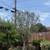 Landscaping & Gardening Services Luis 6 thumbnail