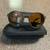 Oakley Clifden Matte Olive Tungsten Prizm Polarized Sunglasses 1 thumbnail