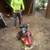 New landscape Removal job design light to med size tree and bush $499 24 thumbnail