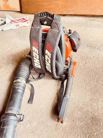 Echo PB-265L backpack Blower 1