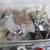 Sewing Lot Of Buttons Vintage Rare Misc. With Carry Storage Case 4 thumbnail