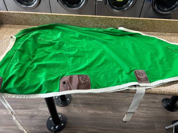 Green Pony Blanket 1
