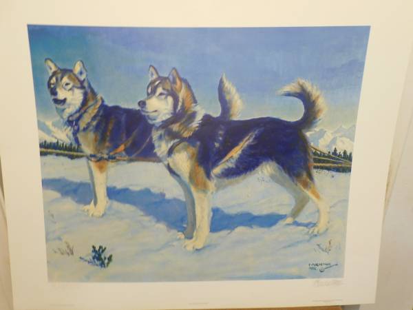 They Opened The North Country -Dog Team-- Machetanz Print 1
