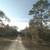 Land Deal in Williston FL(Levy County) - $6,000 6 thumbnail