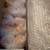 Hatching Eggs  – NPIP Certified Breeder Thompsonville IL 3 thumbnail