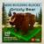 Mini Building Blocks Grizzly Bear  4 5/8 x 3 1/8 x 2 1/2 Inches  (259 Pieces) 1 thumbnail