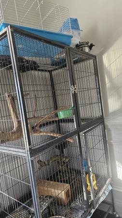 Huge bird cage and travel cage $200 (Biloxi)63801771514625120