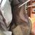 Lucky Brand mushroom leather hobo bag 3 thumbnail