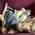 COLLECTABLE DOLLS 6 thumbnail