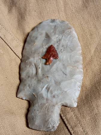 Native 1