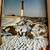 Extraordinary New Jersey, beautiful book 4 thumbnail
