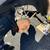 Mobile Auto Repair (Lake County IL) 14 thumbnail