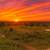 TBD FM 1696 ~ Land for Sale in Iola, TX 1 thumbnail