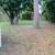 2 bedroom 1 bath, Carport, large fenced backyard, central AC 9 thumbnail