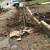 All San Diego Plumbing 13 thumbnail