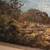 Lester Hughes (1938-2021) Original Oil on Canvas “River Trail" 2 thumbnail