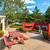 Renovated One bedroom, one bathroom for rent w/ in-unit laundry 9 thumbnail