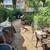 1 room available on October 1 in a 4 bedroom, spacious, sunny rowhouse 10 thumbnail