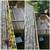 Professional Gutter Cleaning & House Washing / Pressure Washing 6 thumbnail