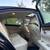 🚘 CLEAN TITLE • 2013 LEXUS ES 300h HYBRID ES300H 88K MILES •LUXURY 🚘 13 thumbnail