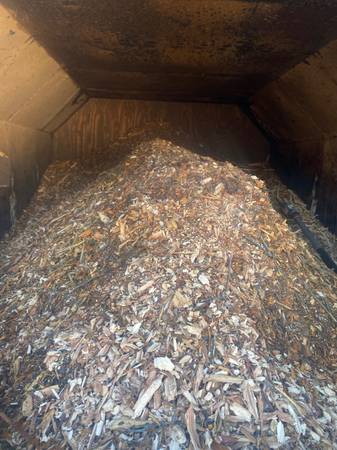 Free woodchips 1