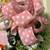 Grapevine Wreath/“Welcome to our home “ 13 thumbnail