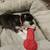 Siberian-huskys 17 thumbnail