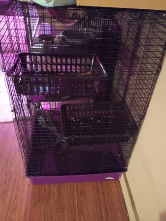 Rat cage for sell ($30) (Detroit lakes MN)