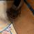 Heritage Western boots 12 thumbnail